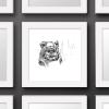 imageTrends International Gallery Pops Star Wars Saga  Return of the Jedi Ewok Sketch Wall Art Wall Poster 1200quot x 1200quot Black Frame VersionWhite Frame Version
