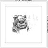 imageTrends International Gallery Pops Star Wars Saga  Return of the Jedi Ewok Sketch Wall Art Wall Poster 1200quot x 1200quot Black Frame VersionWhite Frame Version