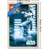 imageTrends International Star Wars A New Hope  Stormtrooper Wall Poster 34L x 224W Barnwood Framed VersionBlonde Framed Version