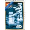 imageTrends International Star Wars A New Hope  Stormtrooper Wall Poster 34L x 224W Barnwood Framed VersionGold Framed Version