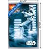imageTrends International Star Wars A New Hope  Stormtrooper Wall Poster 34L x 224W Barnwood Framed VersionSilver Framed Version
