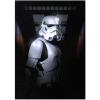 imageDisplate Official Star Wars Metal Poster Magnetic Mounting Included Licensed Artwork Modern Wall Decor Mandalorian Season 2 Baby Poster 45 cm x 32 cmenemy