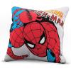 imageJay Franco Star Wars The Mandalorian Wanted Reward Decorative Pillow Cover  Throw Pillow Cover Features The Child Baby Yoda Grogu  Kids Super Soft Bedding Official Star Wars ProductSpiderman