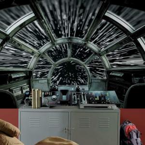 imageRoomMates RMK11412M 2M Hyper Space Peel and Stick Wallpaper Mural105 x 6 ft Black WhiteMillennium Falcon