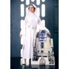 imageRubies Womens Star Wars Classic Deluxe Princess Leia CostumeWhite
