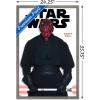 imageTrends International Star Wars Saga  Darth Maul Feature Series Wall Poster 224L x 147W Barnwood Framed VersionBarnwood Framed Version