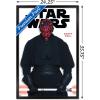 imageTrends International Star Wars Saga  Darth Maul Feature Series Wall Poster 224L x 147W Barnwood Framed VersionBlack Framed Version
