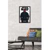 imageTrends International Star Wars Saga  Darth Maul Feature Series Wall Poster 224L x 147W Barnwood Framed VersionBlack Framed Version