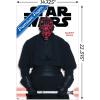 imageTrends International Star Wars Saga  Darth Maul Feature Series Wall Poster 224L x 147W Barnwood Framed VersionPremium Poster  Mount Bundle