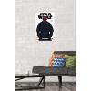 imageTrends International Star Wars Saga  Darth Maul Feature Series Wall Poster 224L x 147W Barnwood Framed VersionPremium Poster  Mount Bundle