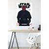 imageTrends International Star Wars Saga  Darth Maul Feature Series Wall Poster 224L x 147W Barnwood Framed VersionPremium Poster  Mount Bundle