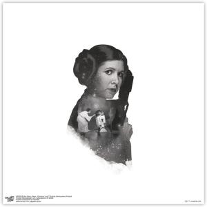 imageTrends International Gallery Pops Star Wars Saga  Princess Leia Artistic Atmosphere Portrait Wall Art Wall Poster 12quot x 12quot Black Framed VersionUnframed Version