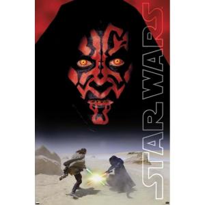imageTrends International Star Wars The Phantom Menace  Darth Maul One Sheet Wall Poster 34L x 224W Premium Unframed VersionPremium Unframed Version