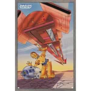 imageTrends International Star Wars Droids  R2D2 C3PO Wall Poster 19L x 13W Premium Unframed VersionBarnwood Framed Version