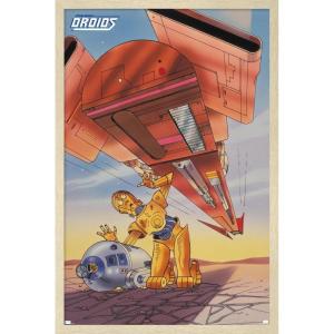 imageTrends International Star Wars Droids  R2D2 C3PO Wall Poster 19L x 13W Premium Unframed VersionBlonde Framed Version