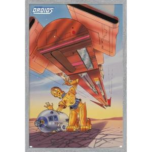 imageTrends International Star Wars Droids  R2D2 C3PO Wall Poster 19L x 13W Premium Unframed VersionGray Framed Version