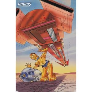 imageTrends International Star Wars Droids  R2D2 C3PO Wall Poster 19L x 13W Premium Unframed VersionPremium Unframed Version
