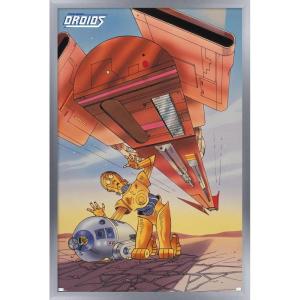 imageTrends International Star Wars Droids  R2D2 C3PO Wall Poster 19L x 13W Premium Unframed VersionSilver Framed Version