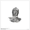 imageTrends International Gallery Pops Star Wars Saga  C3PO Artistic Atmosphere Portrait Wall Art Wall Poster 12quot x 12quot Black Framed VersionUnframed Version