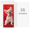 imageHallmark Star Wars Valentines Day Cards Assortment for Kids Darth Vader and R2D2 6 Valentines Day Cards with EnvelopesPuppies and Kittens