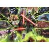 imageRavensburger Star Wars Villainous Asajj Ventress 1000 Piece Jigsaw Puzzle for Adults  17341  Every Piece is Unique Softclick Technology Means Pieces Fit Together PerfectlyOriginal Packaging