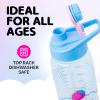 imageSilver Buffalo Star Wars Darth Vader Water Bottle With ScrewOn Lid 28 OuncesSanrio Cinnamoroll