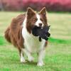 imageStar Wars for Pets Plush Darth Vader Figure Dog Toy  Soft Star Wars Squeaky Dog Toy  Large  Adorable Toys for All Dogs Official Dog Toy Product of Star Wars for PetsDarth Vader Flattie