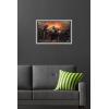 imageTrends International Star Wars The Book FettBoba and Fennec Shand Wall Poster 22375quot x 34quot Premium Unframed VersionGray Framed Version