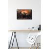 imageTrends International Star Wars The Book FettBoba and Fennec Shand Wall Poster 22375quot x 34quot Premium Unframed VersionPremium Poster  Mount Bundle