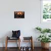 imageTrends International Star Wars The Book FettBoba and Fennec Shand Wall Poster 22375quot x 34quot Premium Unframed VersionPremium Unframed Version