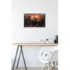 imageTrends International Star Wars The Book FettBoba and Fennec Shand Wall Poster 22375quot x 34quot Premium Unframed VersionWhite Framed Version