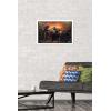imageTrends International Star Wars The Book FettBoba and Fennec Shand Wall Poster 22375quot x 34quot Premium Unframed VersionWhite Framed Version