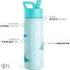 imageSimple Modern Water Bottle with Straw Lid  Marvel Spiderman 18oz Stainless Steel Cup Insulated Tumbler for Boys Girls School  Spidey Friends UniteDisneyFrozen Elsas Snowflake