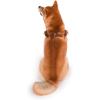 imageStar Wars for Pets Chewbacca Cosplay Dog Harness for Medium Dogs Medium M  Brown Medium Dog Harness is Cute No Pull Dog Harness  Merch for Dogs or Pet CostumeFF15813Chewbacca