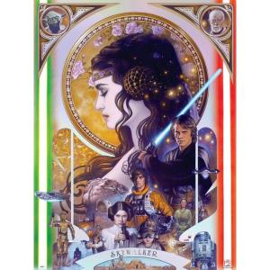 imageBuffalo Games  Star Wars  Skywalker  Foil Puzzle  500 Piece Jigsaw Puzzle