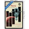 imageTrends International Star Wars Moving At Lightspeed  Firespray Wall Poster 34L x 224W Premium Unframed VersionBlack Framed Version