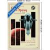 imageTrends International Star Wars Moving At Lightspeed  Firespray Wall Poster 34L x 224W Premium Unframed VersionBlonde Framed Version