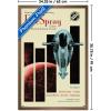 imageTrends International Star Wars Moving At Lightspeed  Firespray Wall Poster 34L x 224W Premium Unframed VersionBronze Framed Version