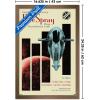 imageTrends International Star Wars Moving At Lightspeed  Firespray Wall Poster 34L x 224W Premium Unframed VersionBronze Framed Version