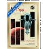 imageTrends International Star Wars Moving At Lightspeed  Firespray Wall Poster 34L x 224W Premium Unframed VersionGold Framed Version