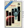 imageTrends International Star Wars Moving At Lightspeed  Firespray Wall Poster 34L x 224W Premium Unframed VersionGray Framed Version