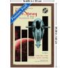 imageTrends International Star Wars Moving At Lightspeed  Firespray Wall Poster 34L x 224W Premium Unframed VersionMahogany Framed Version