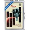 imageTrends International Star Wars Moving At Lightspeed  Firespray Wall Poster 34L x 224W Premium Unframed VersionSilver Framed Version
