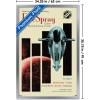 imageTrends International Star Wars Moving At Lightspeed  Firespray Wall Poster 34L x 224W Premium Unframed VersionSilver Framed Version