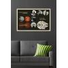 imageTrends International Star Wars Moving At Lightspeed  Millennium Falcon Wall Poster 34L x 224W Premium Unframed VersionBlonde Framed Version