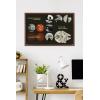 imageTrends International Star Wars Moving At Lightspeed  Millennium Falcon Wall Poster 34L x 224W Premium Unframed VersionMahogany Framed Version