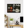 imageTrends International Star Wars Moving At Lightspeed  Millennium Falcon Wall Poster 34L x 224W Premium Unframed VersionPremium Poster  Mount Bundle