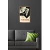 imageTrends International Star Wars Moving At Lightspeed  Star Destroyer Wall Poster 34L x 224W Premium Unframed VersionBronze Framed Version