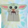 imageSTAR WARS Grogu Boys TShirt and Short Set for Toddler and Little KidsTie Dye Multi Color