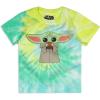 imageSTAR WARS Grogu Boys TShirt and Short Set for Toddler and Little KidsTie Dye Multi Color